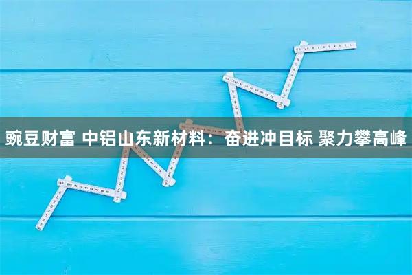 豌豆财富 中铝山东新材料：奋进冲目标 聚力攀高峰
