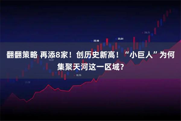 翻翻策略 再添8家！创历史新高！“小巨人”为何集聚天河这一区域？