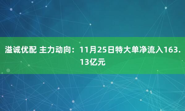 溢诚优配 主力动向：11月25日特大单净流入163.13亿元
